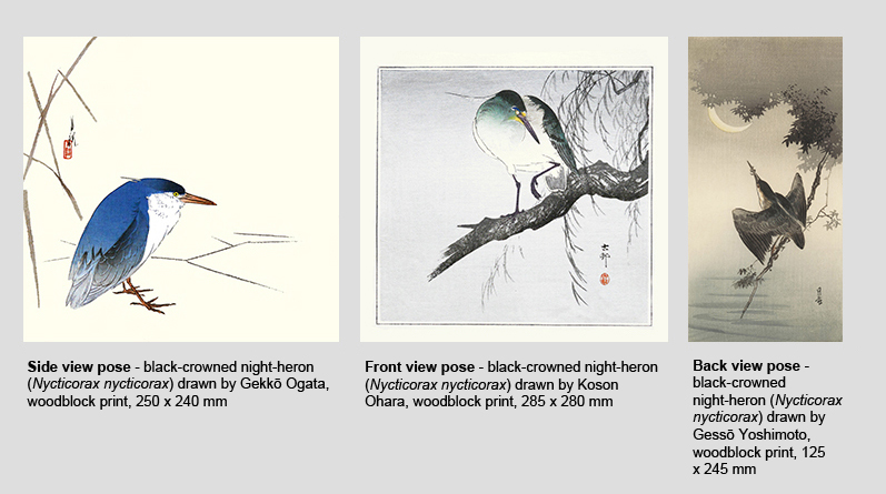 Bird Poses